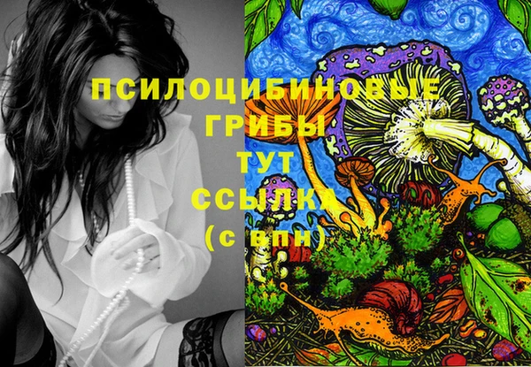 бошки Вязьма