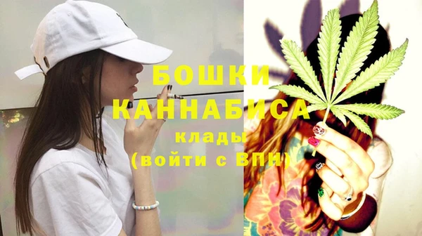 бошки Вязьма
