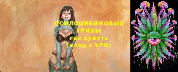 бошки Вязьма