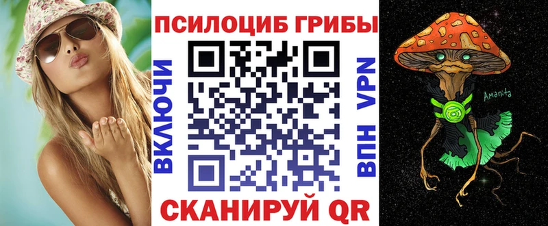 Псилоцибиновые грибы мицелий Купить Киреевск